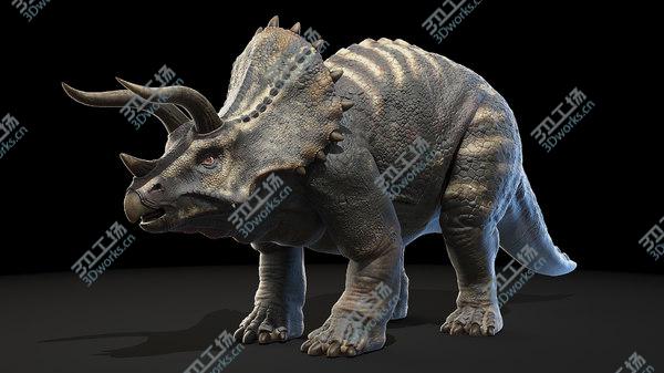 images/goods_img/20210312/3D Triceratops/4.jpg